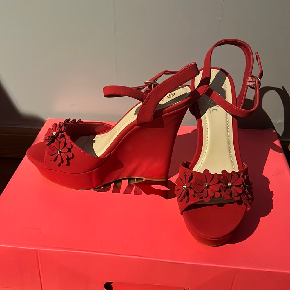 Red wedges